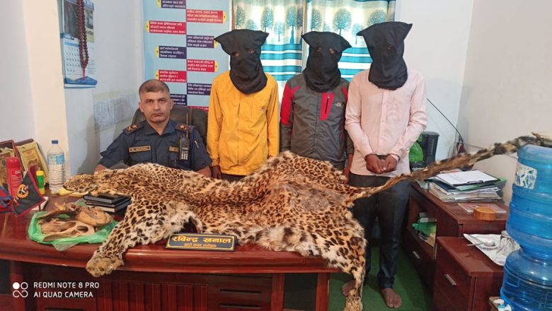 चितुवाको छाला र हाडसहित तीन जना कोहलपुरबाट पक्राउ