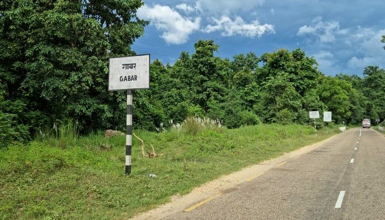 मान्छे खाने बाघ नियन्त्रणमा नआउँदा राजमार्ग नजिक त्रास कायमै