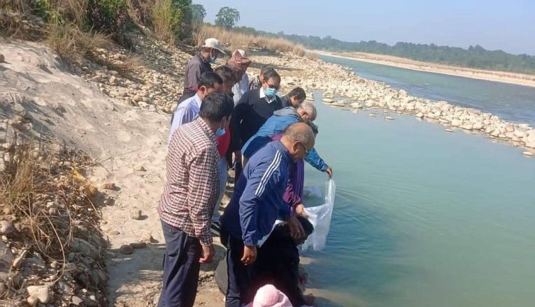 राप्ती नदीमा एक हजार माछाका भुरा हालियो