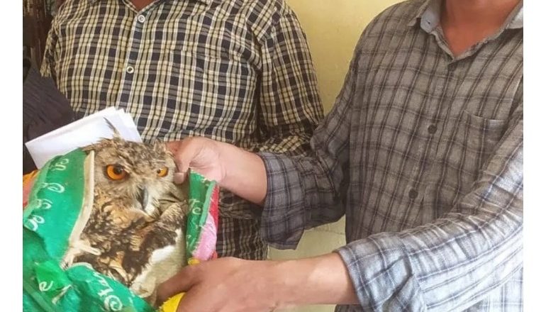 पर्सामा लाटाेकाेसेराे सहित २ भारतीय पक्राउ