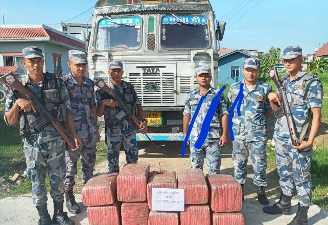 पर्सामा १४३ किलाे गाँजा बरामद