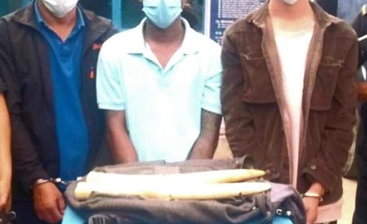 हात्तीको दाह्रा जस्तो  देखिने बस्तुसहित ३ जना पक्राउ