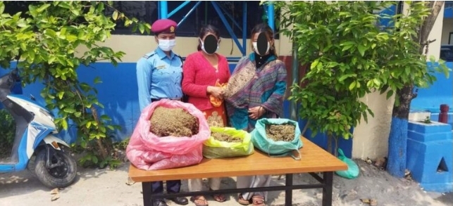 २ महिला लागुऔषध र नगदसहित ईमाडाेलबाट पक्राउ