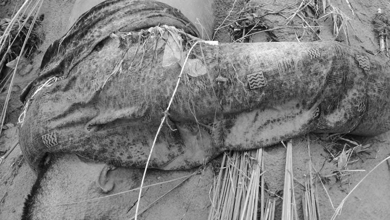 नारायणी नदीमा भेटिएको शव बेपत्ता बसका यात्रु भएको पुष्टि